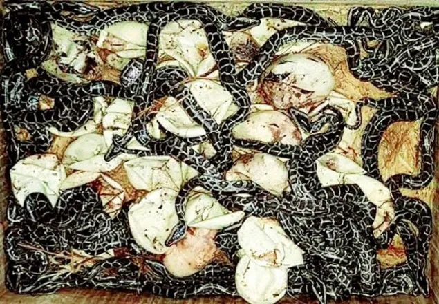 ডিম থেকে বেরিয়ে এলো ২৯ অজগর