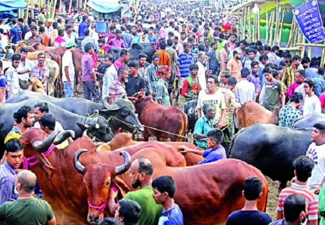 পশুর হাটে স্বাস্থ্যবিধি নিশ্চিত করতে এলজিআরডি মন্ত্রীর নির্দেশ