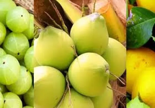 ডেঙ্গু জ্বরে যেসব খাবার উপকারী