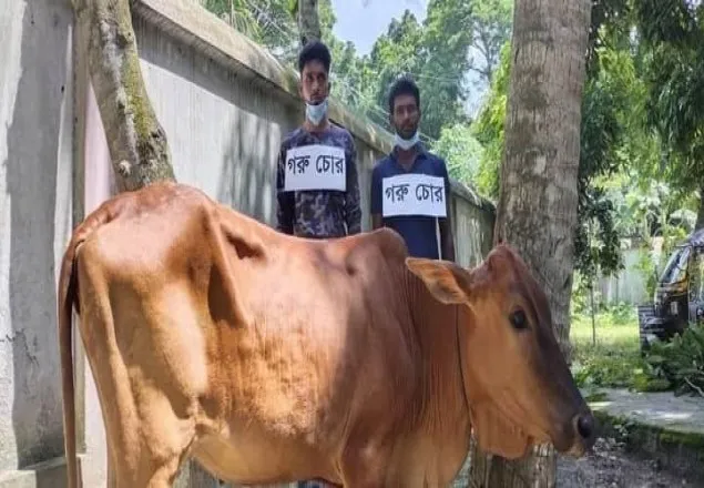 মাগুরার মহম্মদপুরে গোরুচোর আটক