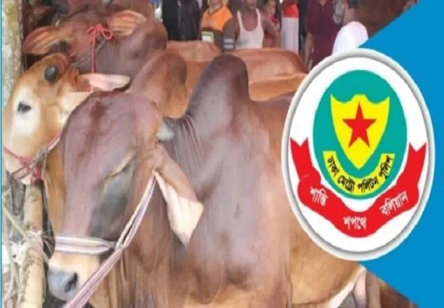 রাজধানীর পশুর হাটে ডিএমপির ২০ উদ্যোগ