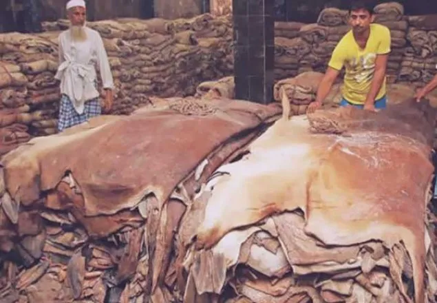 কোরবানির চামড়া ব্যবস্থাপনায় মনিটরিং টিম গঠন