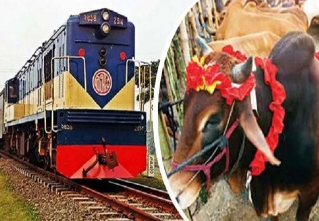 কোরবানি পশু পরিবহনে রেলওয়ের দুই জোড়া ক্যাটেল স্পেশাল ট্রেন চালুর সিদ্ধান্ত