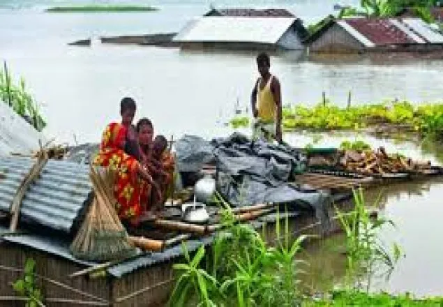 বন্যায় ক্ষতিগ্রস্তদের মাঝে ৭ হাজার মেট্রিক টন চাল বিতরণ