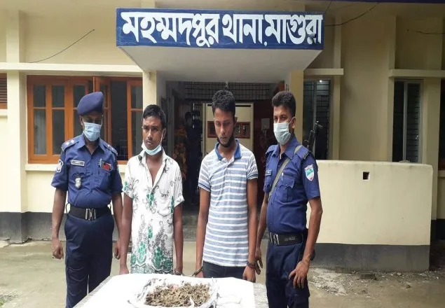 মাগুরায় মাদকসহ ২ মাদক ব্যবসায়ীকে আটক করেছে পুলিশ