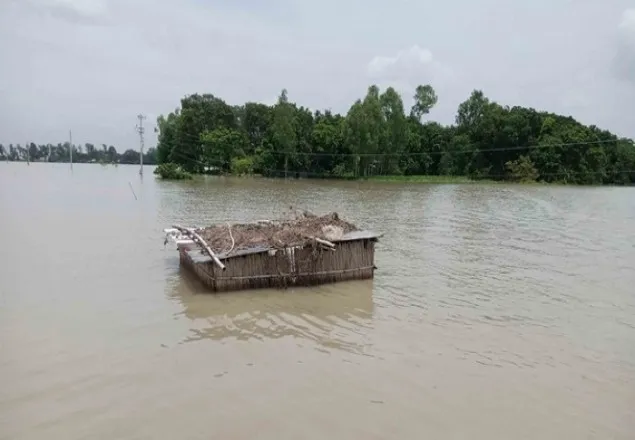 পানিতে ভাসছে পাবনার ৩ শতাধিক গ্রাম 