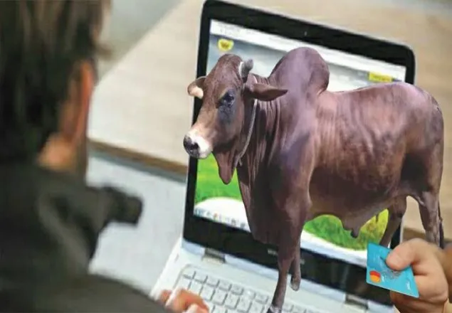 এবার অনলাইনে ২৭ হাজার পশু বিক্রি
