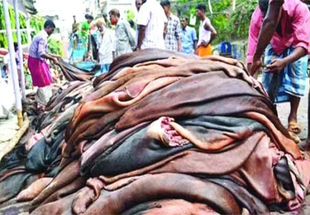কাঁচা চামড়া কেনা-বেচা সমস্যা সমাধানে কন্ট্রোল সেল খুলেছে বাণিজ্য মন্ত্রণালয়