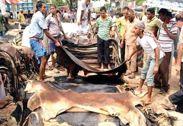 কোরবানির চামড়া সংরক্ষণে বাণিজ্য মন্ত্রণালয়ের ব্যবস্থা গ্রহণ