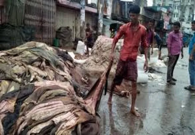 চট্টগ্রামে ময়লার ভাগাড়ে ১৫ হাজারের বেশি পশুর চামড়া