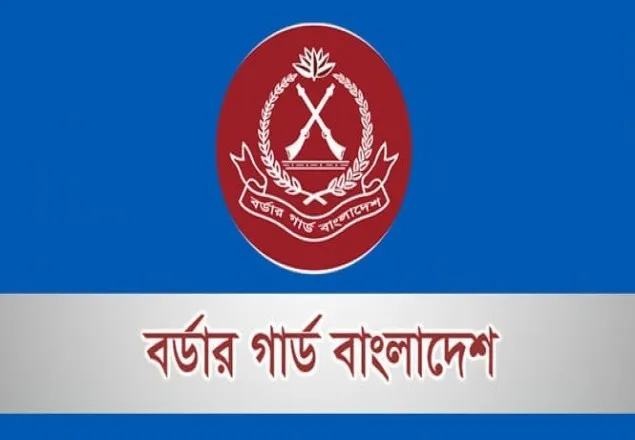 সীমান্তে একমাসেই ৫০ কোটি টাকার মাদকদ্রব্য জব্দ