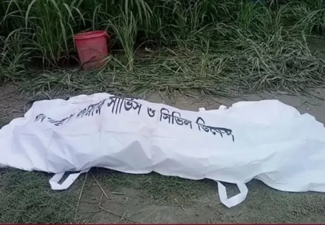 মানিকগঞ্জে বোনের বাড়ি যাওয়ার পথে ৩ ভাই-বোনের মৃত্যু