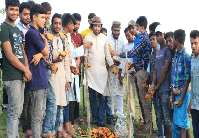 পাথরঘাটায় কাঠালতলী বেড়িবাঁধে  দুই শত তালের বীজ বপন