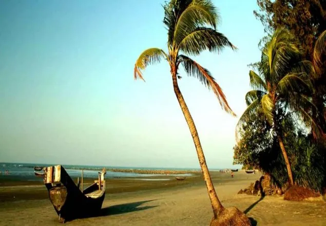  কর্মকর্তা সংকটে সেন্টমার্টিন রক্ষা প্রকল্প!