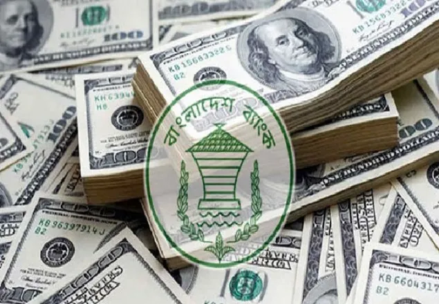 রিজার্ভ থেকে ঋণ নিতে চায় সরকার