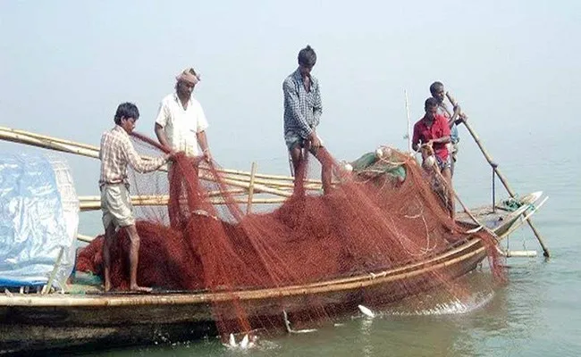 নিষেধাজ্ঞা শেষ : জেলেদের জালে নেই প্রত্যাশিত ইলিশ!