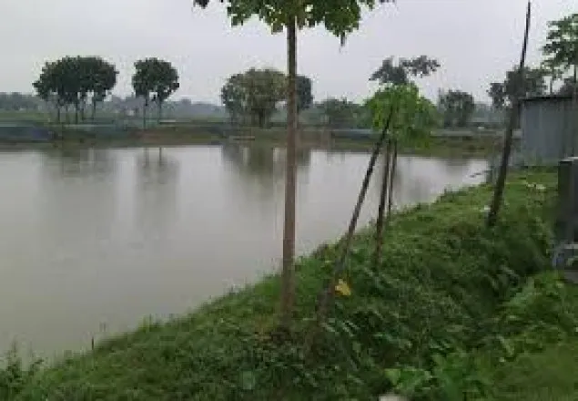 পুকুরের পানিতে বিদ্যুতায়িত হয়ে বাবা-ছেলের মৃত্যু