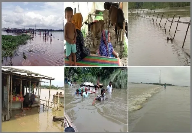  বন্যায় সিরাজগঞ্জে মৎস্যচাষিদের আড়াই কোটি টাকার ক্ষতি