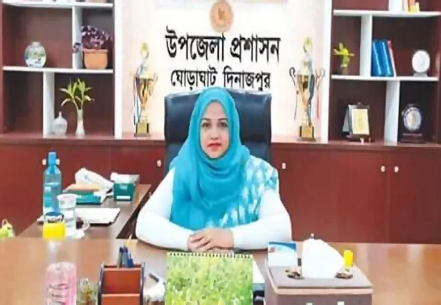 সরকারি বাসভবনে ঢুকে ইউএনওকে কুপিয়ে জখম