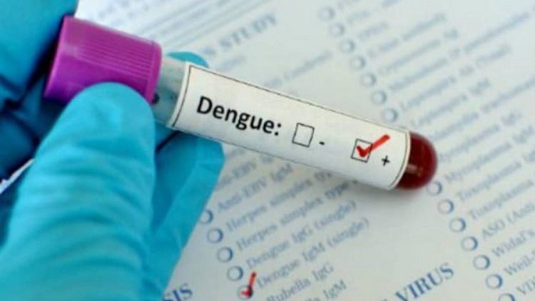 60 dengue patients hospitalised in 24hrs