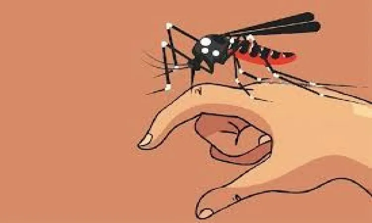 27 dengue patients hospitalised in 24 hours