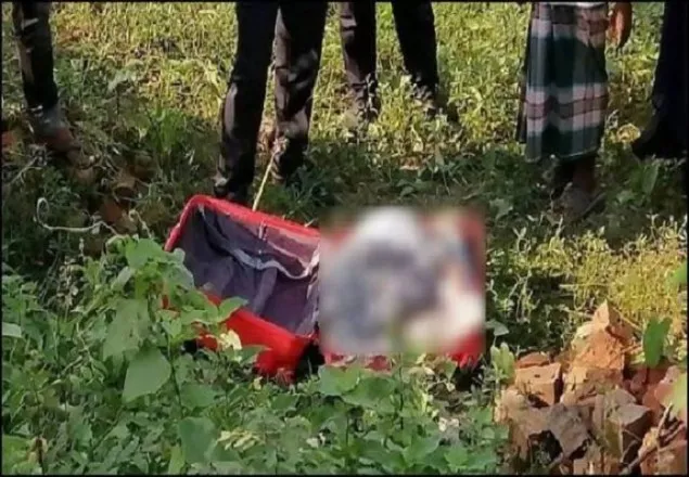 সড়কের পাশে ট্রলি ব্যাগে তরুণীর লাশ