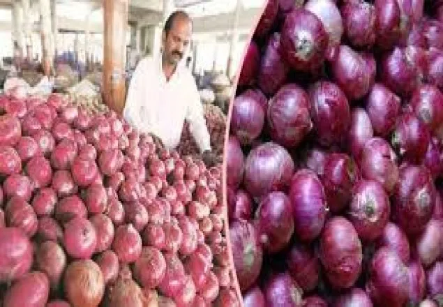 পেঁয়াজ আমদানিতে বিকল্প পরামর্শ কি