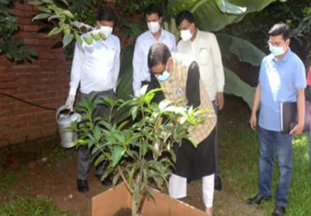 সংসদ ভবন চত্বরে গাছের চারা রোপণ করলেন ওবায়দুল কাদের