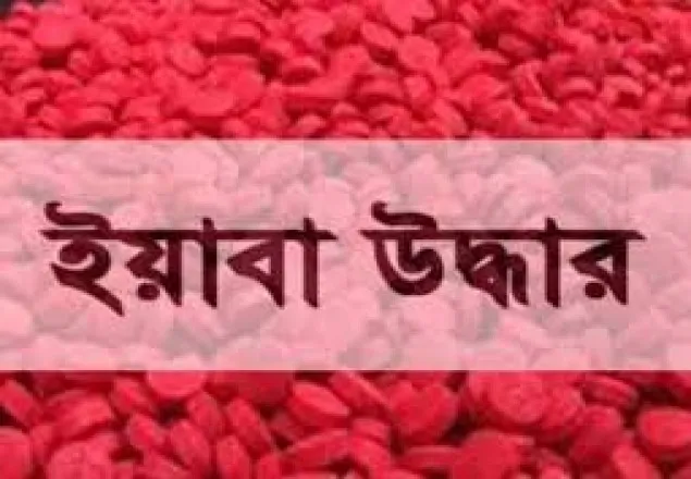 টেকনাফ সীমান্ত থেকে সাড়ে ৩ লাখ ইয়াবা জব্দ