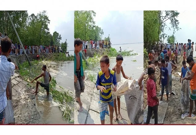 ধ্বসে যাচ্ছে তিস্তার বাম তীরের সলেডি স্প্যার বাঁধ
