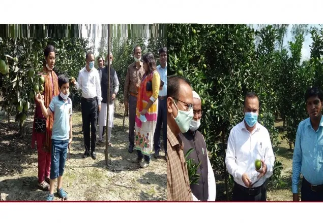 পাটগ্রামে জেলার বৃহৎ মাল্টা বাগান পরিদর্শন করলেন ডিসি