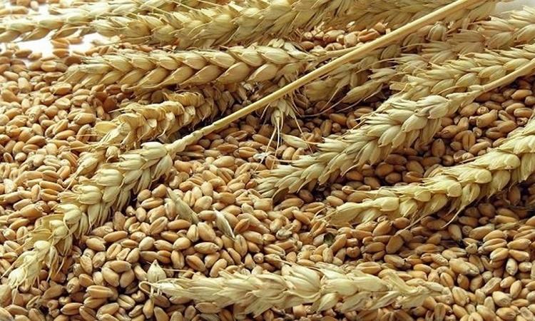 Bangladesh suffers in food insecurity