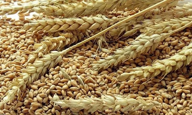 Bangladesh suffers in food insecurity