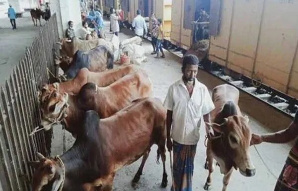 ৬ জুলাই থেকে চলবে পশুবাহী বিশেষ ট্রেন