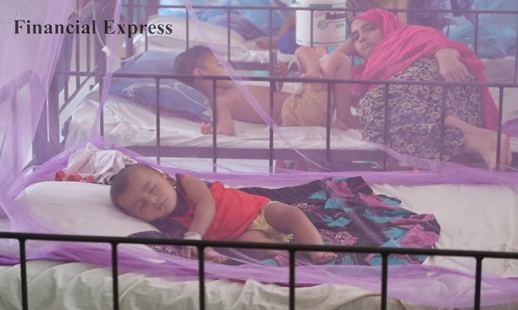 35 dengue patients hospitalised in 24hrs