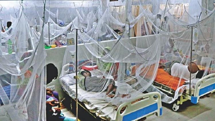 1 dies, 85 new dengue patients hospitalised in 24hrs