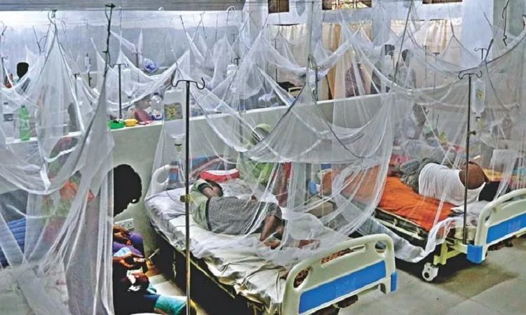 1 dies, 85 new dengue patients hospitalised in 24hrs
