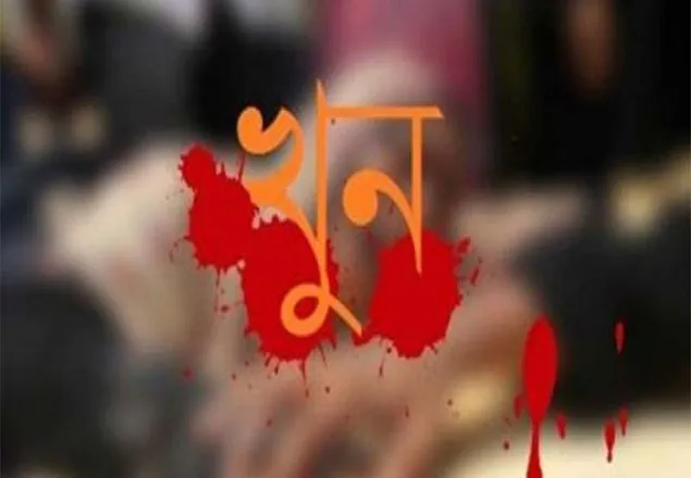 নারায়ণগঞ্জে ছোট ভাইয়ের আঘাতে বড় ভাই খুন