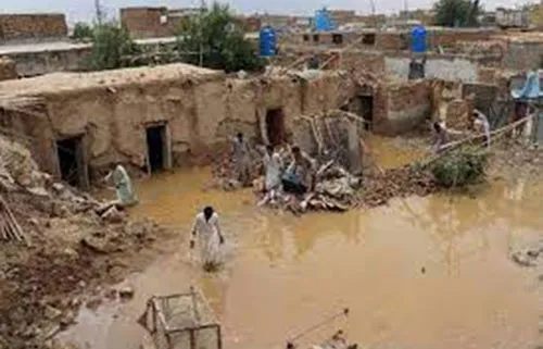 পাকিস্তানে বন্যায় নিহত বেড়ে ৯০০