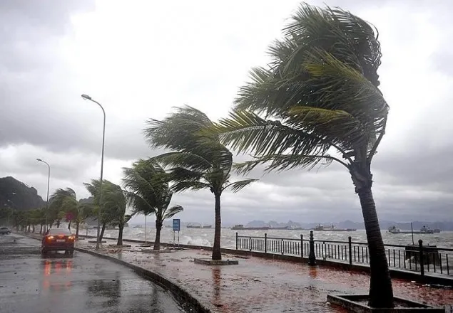 ভিয়েতনামে টাইফুনের আঘাতে নিহত ২৫