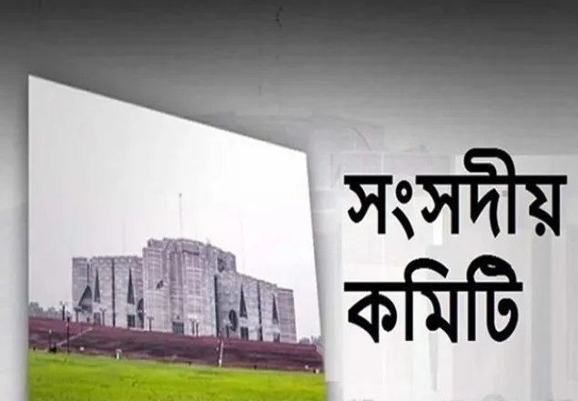 ভুয়া মুক্তিযোদ্ধাদের চিহ্নিত করতে সংসদীয় কমিটির সুপারিশ