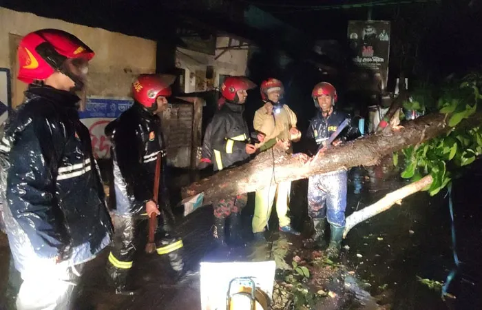 সিত্রাং : ৩০ জায়গায় গাছ পড়ে রাস্তা বন্ধ