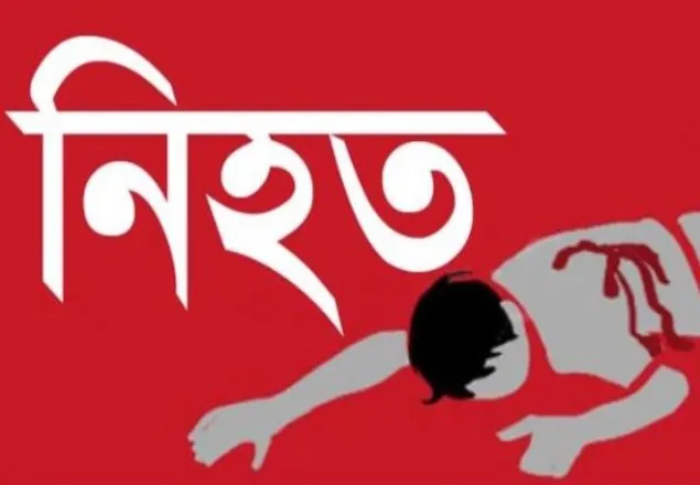 ময়মনসিংহে কাভার্ডভ্যানে মাহিন্দ্রর ধাক্কায় নিহত ২