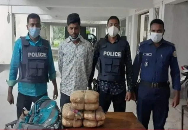ভোলায় ৬ কেজি গাঁজাসহ এক মাদক ব্যবসায়ী গ্রেফতার
