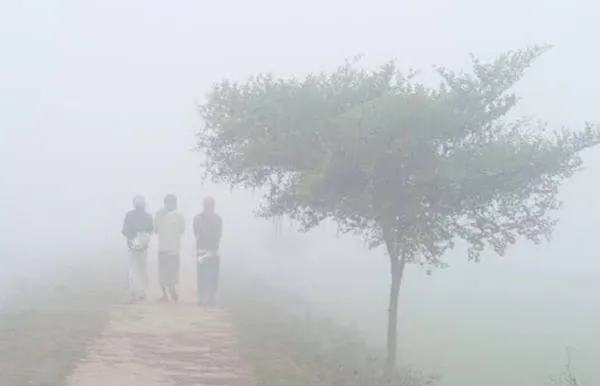 হিলিতে কমেছে তাপমাত্রা, বেড়েছে শীত