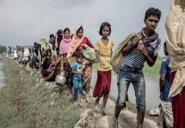 রোহিঙ্গাদের পক্ষে গাম্বিয়ার আইনি লড়াইয়ে ওআইসির সহায়তা চায় ঢাকা