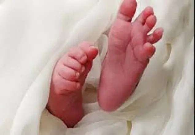 ঢাবিতে আবারও মিলল নবজাতকের লাশ