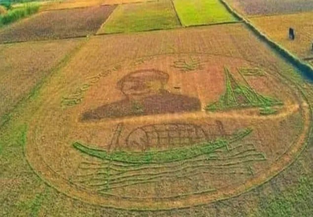 ‘ফসলের জমিতে বঙ্গবন্ধু’