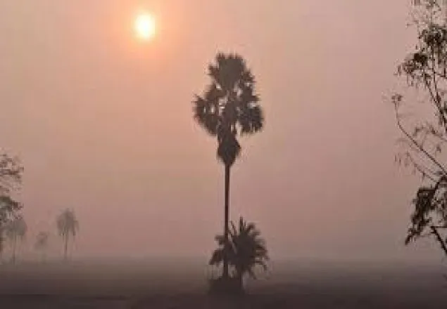 আগামী ৩ দিনে শীত বাড়বে