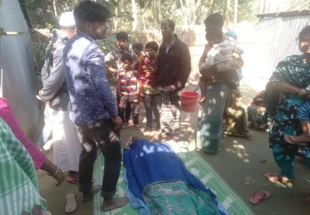 জামালপুরে সিএনজি খাদে পড়ে চালক নিহত